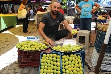 Sezonun ilk incirini pazar tezgahlarında yerini aldı
