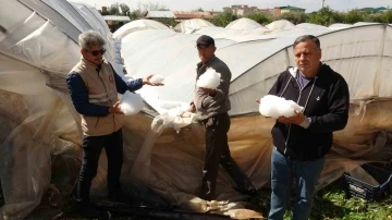 Şiddetli dolu serayı çökertti, açıktaki ürünlere ağır hasar verdi
