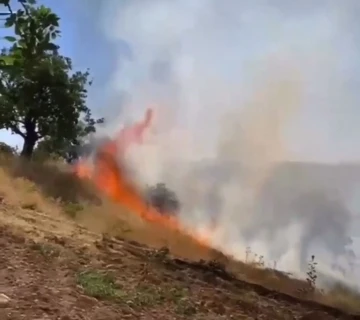 Siirt’te fıstık bahçeleri yanıyor, ekipler müdahale ediyor