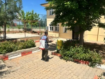 Siirt’te haşerelere ve kötü kokuya karşı ilaçlama yapılıyor
