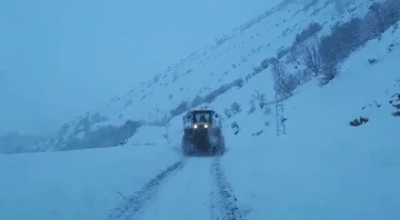 Siirt’te kar yolları kapattı, ekipler seferber oldu
