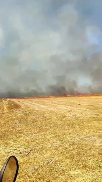 Silivri’de otluk alanda çıkan yangın büyük paniğe neden oldu
