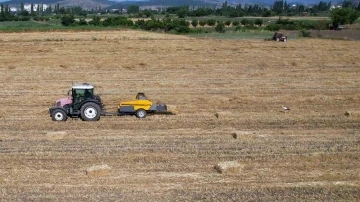 Sındırgı’nın simgesi Sağdıç Leylek ekin tarlasında görüntülendi
