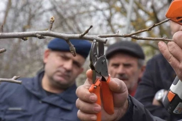 Sinop’ta çiftçilere uygulamalı budama eğitimi
