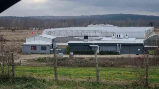 Sinop’ta etkili olan fırtına seralara zarar verdi
