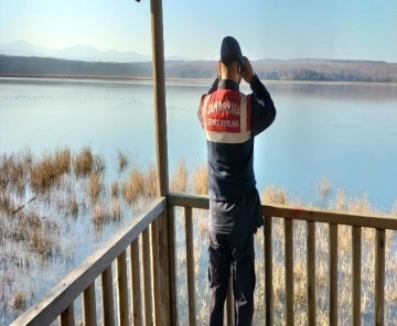 Sinop’ta jandarmadan kaçak avcılık denetimi
