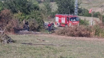 Sinop’ta otların yakılması paniğe neden oldu
