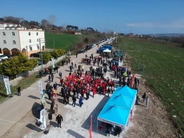 Sinop’ta &quot;6 Şubat Deprem Şehitleri Hatıra Ormanı&quot; fidan dikim töreni
