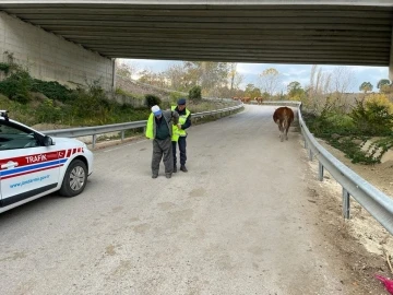 Sinop’ta “Reflektif Yelek Giy Görünür Ol Projesi&quot;
