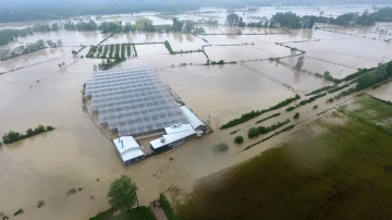 Sinop’ta sel çeltik tarlalarını ve seraları vurdu
