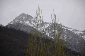 Şırnak’a kış geri geldi
