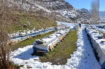 Arılar kış uykusunda arıcılar nöbette