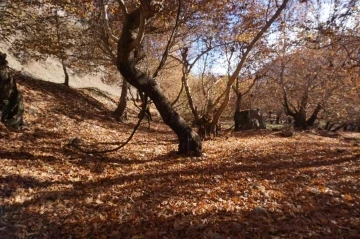 Şırnak’ta kartpostallık görüntüler oluştu
