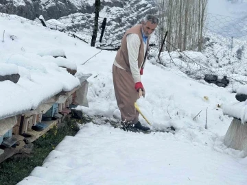 Şırnak’ta yalancı bahar, bal arılarını vurdu
