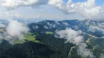 Sis bulutları ile kaplanan Ilgaz Dağı’nda mest eden görüntüler
