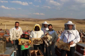 Sivas çiçek balı üretiminde ilk sırada
