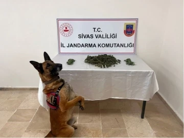 Sivas’ta 3 kilo esrar ele geçirildi
