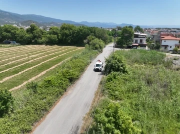 Sivrisinek, unutulan bir bardak suda bile üreyebiliyor
