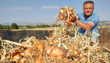 Soğan çiftçinin yeni umudu oldu
