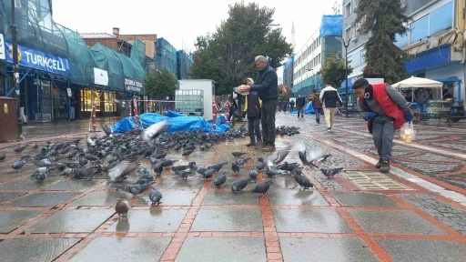 Soğukta aç kalan güvercinlerin yardımına yetiştiler
