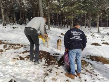 Sokak hayvanları için kar yağışı alan bölgelere yem desteği yapıldı
