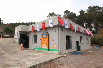 Sokak hayvanlarının mamaları artık bu tesiste üretilecek
