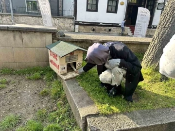 Sokakta besledikleri kedileri bu halde görünce şoke oldular
