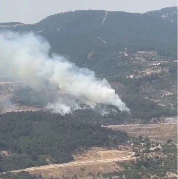 Soma’da orman yangını
