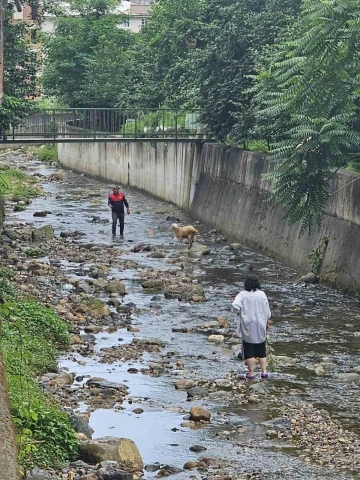 Su kanalına düşen keçiyi itfaiye ekipleri kurtardı
