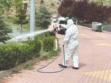 Sungurlu’da vektörel mücadele çalışmaları hızlandı
