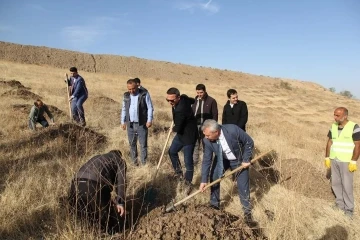 Sungurlu OSB’de ağaçlandırma etkinliği düzenlendi
