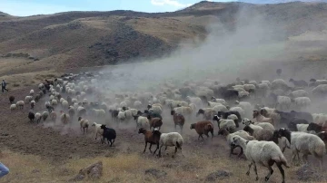 Süphan Dağı eteklerin tozlu ve zorlu yolculuk
