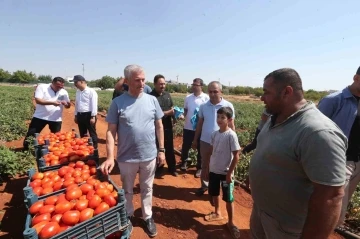 Tahmazoğlu, çiftçilerle tarlada domates ve biber topladı
