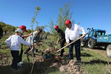 Talas’a 5 yılda 500 bin ağaç
