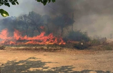 Tarım arazisi yangını yerleşim yerine ulaşmadan söndürüldü
