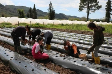 Tarım bölümü öğrencileri hem öğreniyor, hem üretiyor
