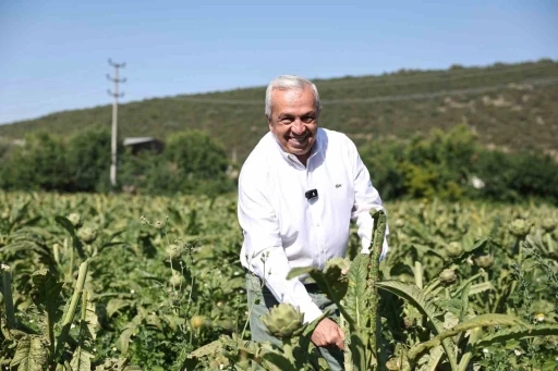 Tarım Nilüfer’de yeniden canlanıyor... 