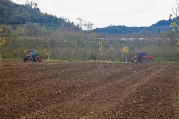 Tarımda Ordu modeli
