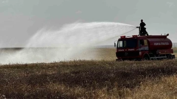 Tarla yangınlarına karşı uzmanlardan uyarı
