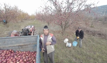 Tarlada çalışan babaya ’dron’ şakası gülme krizine soktu
