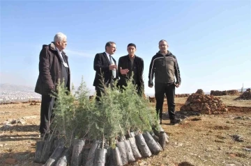 Taşlık araziyi ormana çevirmişti: Yetkililer teşekkür edip fidan desteğinde bulundu
