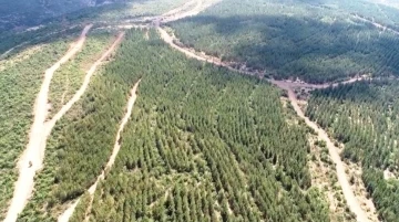 Tavşanlı’da ağaçlandırma sahalarındaki yollarda bakım çalışması
