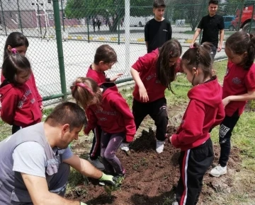 Tavşanlı’da öğrenciler sağlıklı gelecek adına fidan dikti
