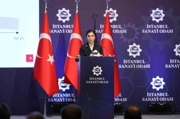 TCMB Başkanı Hafize Gaye Erkan: &quot;Türk Lirasına geçiş başlamıştır&quot;
