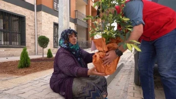 Tebrik çiçekleri depremzedelerin yuvalarını süslüyor
