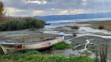 İznik Gölü'nde tehlike çanları çalıyor!