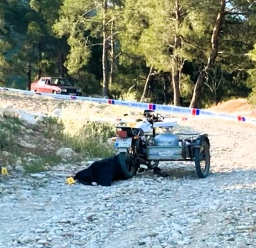 Tek domuz kurşunuyla hem annesini hem de babasını vurdu: 1 ölü, 1 ağır yaralı
