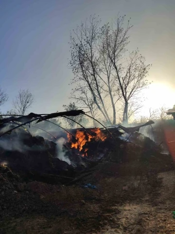 Tekirdağ’da 3 bin balya saman alev alev yandı
