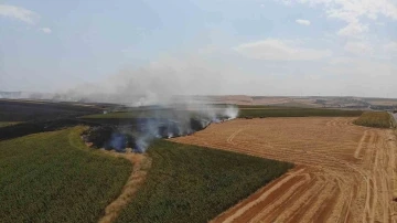 Tekirdağ’da anız yangını 500 dönüm yandı: Yangın sürüyor
