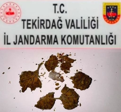 Tekirdağ’da uyuşturucu operasyonları: 3 ayrı olayda bonzai, esrar ve metamfetamin ele geçirildi
